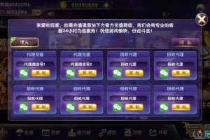 梦港二开富贵版全套数据+双端+超端控制+PC+完美运营