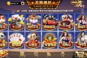 【修复版】天降横财整理版+服务端+数据库+程序全套+教程