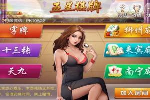 最新更新房卡广西地方娱乐游戏/五星娱乐游戏字牌十三张天九/柳州来宾麻将+双端正常