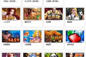 网狐荣耀版多款本子游戏源码 包含娱乐场、休闲场、娱乐场等