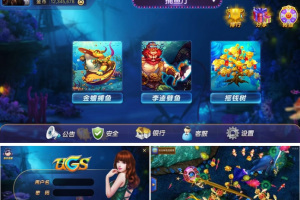 大富豪UGS 5.3版本娱乐游戏完整全套源码 实现完美控制输赢、防止游戏作弊、稳定运营级别
