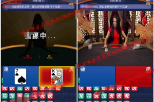 H5赢多多真人视讯龙虎斗源码