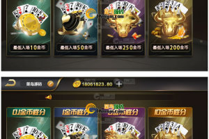 最新完美运营接单版百棋微星源码组件+双端APP正常+完整数据+游戏齐全+控制正常