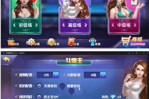 【组件】最新更新网狐二开风龙娱乐房卡游戏+金币双模式+双端正常+主打麻将