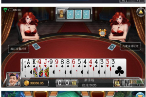 王者牛牛源码完整可以编译并非组件