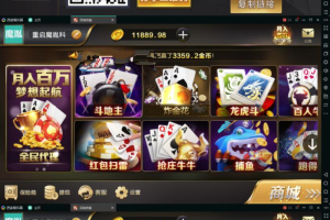 微星娱乐+挂机功能+双端APP+完整搭建视频教程