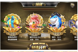 完美花花娱乐金色850客户端原始源码+非组件