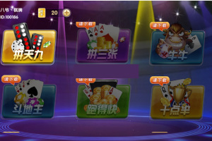 10月最新颂游旗舰,宝马,黑金通用过授权bin文件