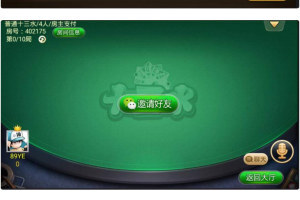 闲来玩游戏 十三水/泉州麻将/牛牛/网狐二开服务器端源码下载,房卡建房娱乐游戏