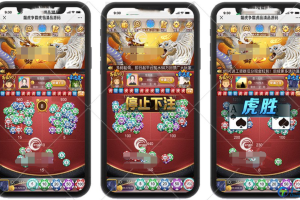【H5源码】上庄龙虎斗全开源源码双版本+使用文档+视频教程】