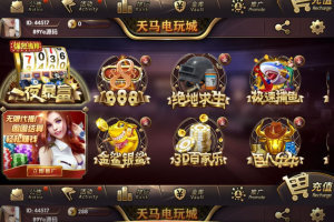 天马电玩城完美服务器打包版本+完整数据+游戏众多