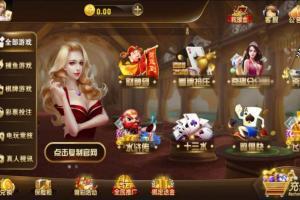 更新微星二开圣娱国际+NG+完整组件+无授权+完整数据
