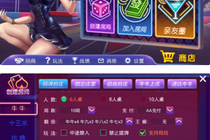 最新更新电光流光版奥玩娱乐量推二开换ui版+完整双端