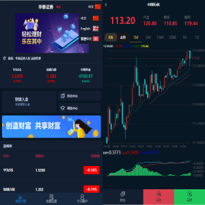 全新八月二开版汇汇通微盘/usdt支付/全新国内K线/3种语言