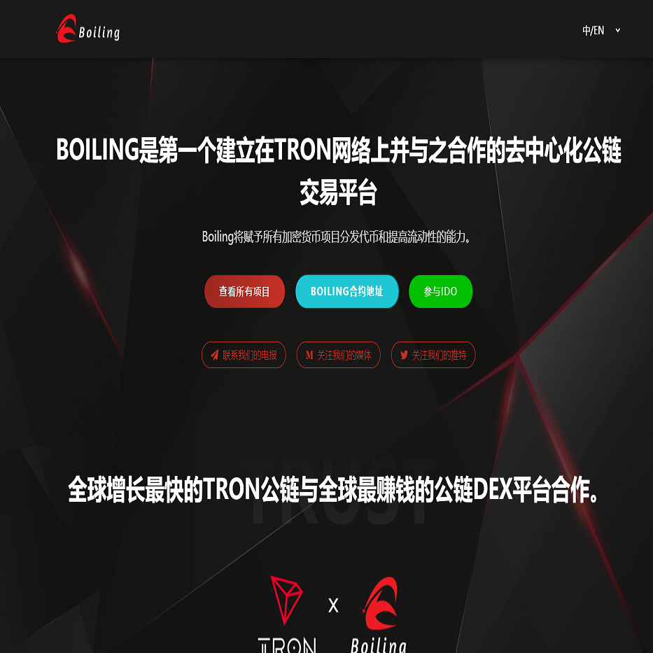 区块链官网代币官网ERC20代币官网波场代币币种介绍网站