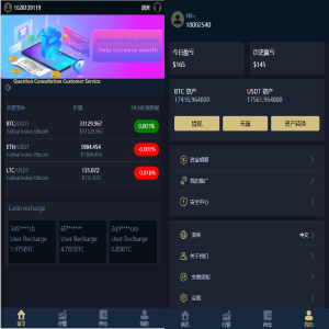 全新修复版/K线正常/四语言虚拟币交易所微交易完整无差