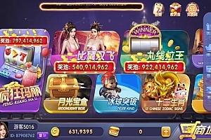 【会员资源】荣耀二开/91电玩/28个子游戏/带独立pc端