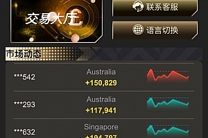 【商业资源】多语言/完美BTC/USDT/28伪交易所