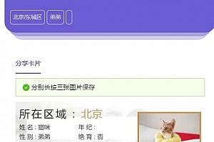 【会员免费】h5的云养猫,流浪猫领养,可封装APP