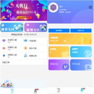 排单理财系统/互助系统/理财交易系统