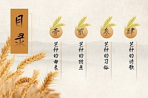 二十四节气之芒种ppt模板