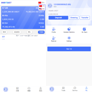 双语言版虚拟币投资系统/USDT充值