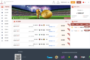 【包网资源】多语言JAVA反波胆源码/红利宝+裂变+VIP+代理/带开源工程+编译配置视频教程