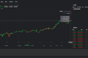 【独家资源】Tradebox去中心化交易/加密货币交易平台/自适应/正版程序/带视频搭建教程