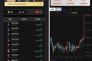 【商业资源】多语言外汇虚拟币贵金属三合一微交易