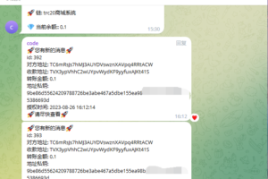 【独家资源】三链提币接口/开源无加密/TG机器人通知/阈值拦截/带详细教程