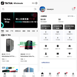 新版Tiktok跨境商城系统/多语言tiktok商城/内置客服/内嵌tiktok