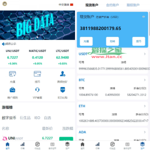 新版多语言交易所系统/虚拟币外汇交易/期权合约交易