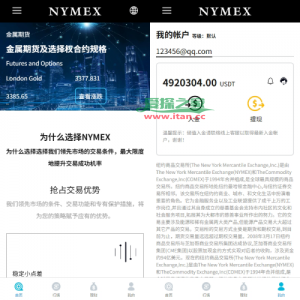 海外微交易系统/虚拟币外汇交易/PC微盘/多语言微盘