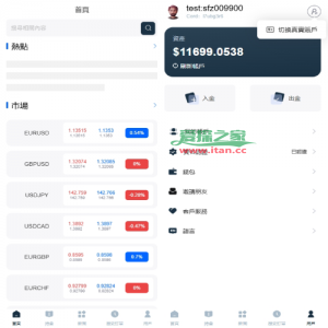 海外FX6系统/多语言外汇虚拟币合约交易/K线控制