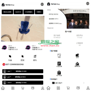 多语言TIKTOK抢单刷单系统/连单卡单/打针/前端uniapp