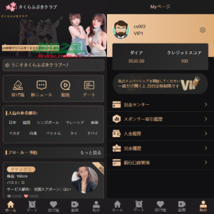 海外同城约/炮空降任务/日本空降系统/前端vue