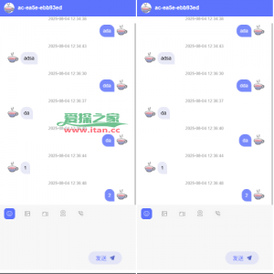 新版客服系统/在线客服系统/前端VUE