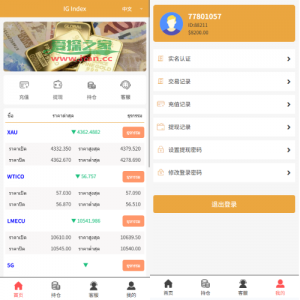 海外微交易系统/多语言微盘/外汇交易/时间盘