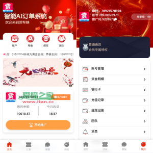 运营版抢单刷单系统/打针/做单/会员跟踪/信誉分