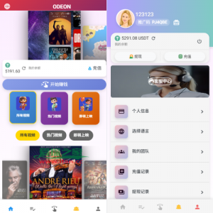 海外电影抢单刷单系统/多语言影视刷单/派单/重置订单