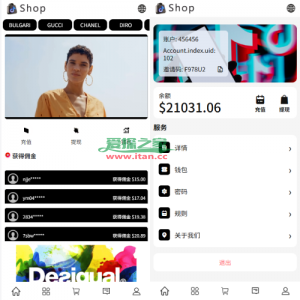 多语言商城抢单刷单系统/手动派单/爆单卡单