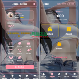 空降约/炮系统/酒店路费认证/预约上门/多级分销