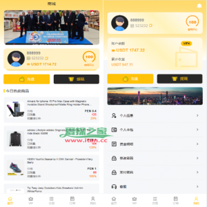 多语言AliExpress商城刷单系统/打针/连单卡单/信用分