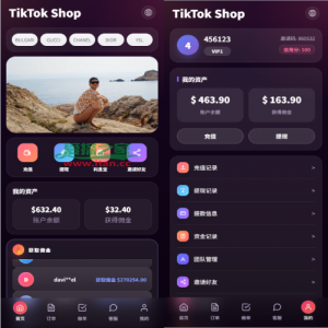 新版TIKTOK抢单刷单/打针派单/连单卡单/JAVA刷单
