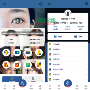 海外刷单抢单系统/韩国刷单/自定义打针/连单卡单